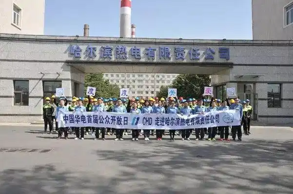 华电能源亏损原因分析_华电能源 百度_华电能源退市风险警示