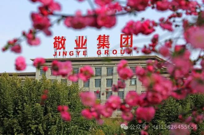 图片来源于网络,仅用于示意