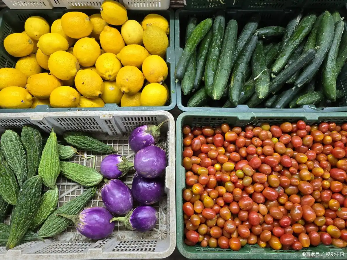 农产品冷链物流模式_农产品冷链物流模式比较研究_农产品冷链物流存在问题