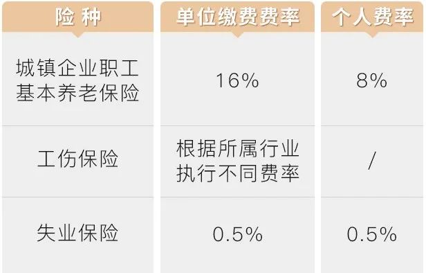 图片来源:重庆社保,下同
