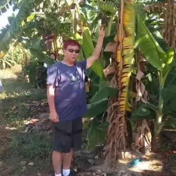 股票除权多久能填权_股票分红除权意义_除权后填权分析