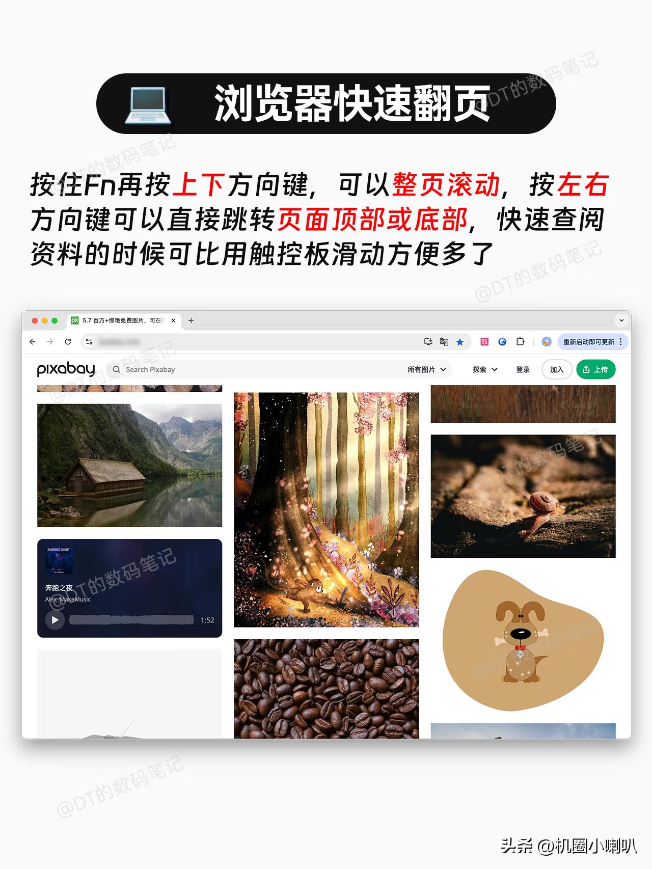 Fn键隐藏技巧_苹果电脑怎么翻页_Mac键盘Fn键功能