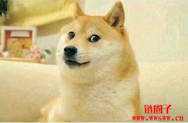 ibm club 【狗狗币入门指南】什么是狗狗币？为什么涨这么多？