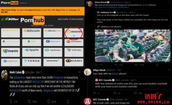 狗狗币的起源_ibm club_狗狗币与比特币的优势对比