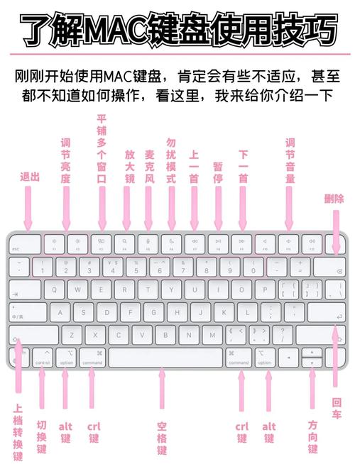 系统控制文件管理办公创作窗口操作_苹果电脑怎么翻页_Mac键盘快捷键