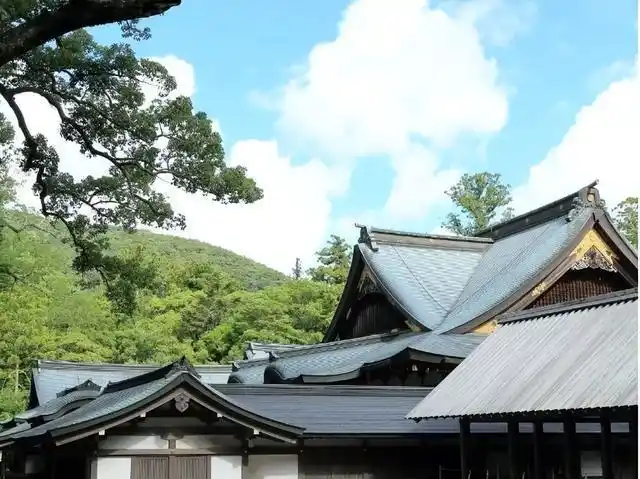 国际投资自然灾害风险_中资企业撤离菲律宾原因_亚洲金融风暴 菲律宾