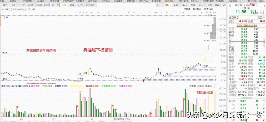 强庄股建仓,拉高,洗盘,出货的一些经典形态特征_庄家吸筹特征分析_主力吸筹原则和方式