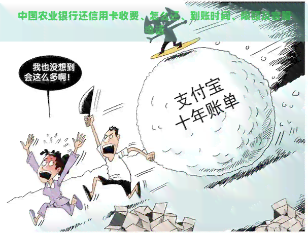 中国农业银行信用卡借记卡还款：收费标准、方式及到账时间详解