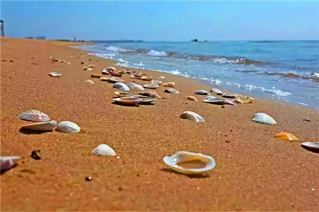 北戴河刘庄旅店多少钱?_北戴河旅游攻略_北戴河海鲜市场