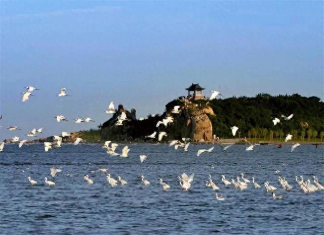 鸽子窝公园日出观赏地_北戴河旅游攻略2025年7月版_北戴河刘庄旅店多少钱?