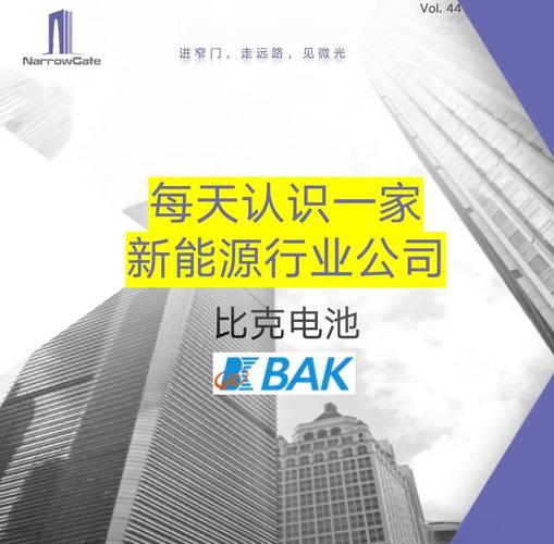 比克电池跃居世界锂电前三，一场官司如何成就今日辉煌？