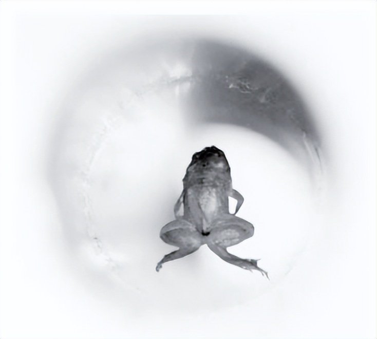 稀土永磁体 英文_磁性液体_铁磁流体