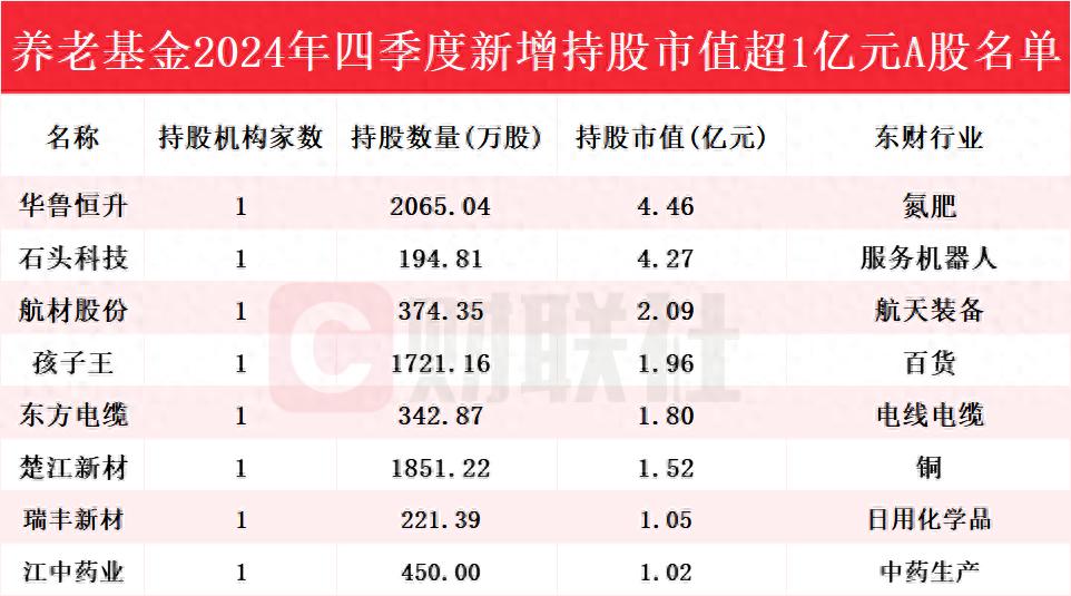 华鲁恒升养老基金增持_养老基金2024年持股动向_华鲁恒升年报