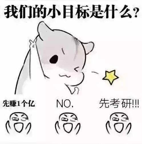2024年考研：鱼小硕考研之公共管理专业学科背景解析