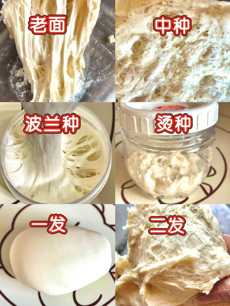 北京馒头技术培训_高筋中筋面粉配比_蒸馒头技巧
