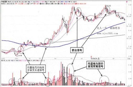 均量线运用技巧_5日均量线上穿10日均量线_均量线买卖信号