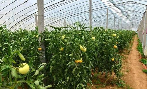 华塑控股2025年年报_华塑控股股票_煤矿瓦斯治理CCER开发