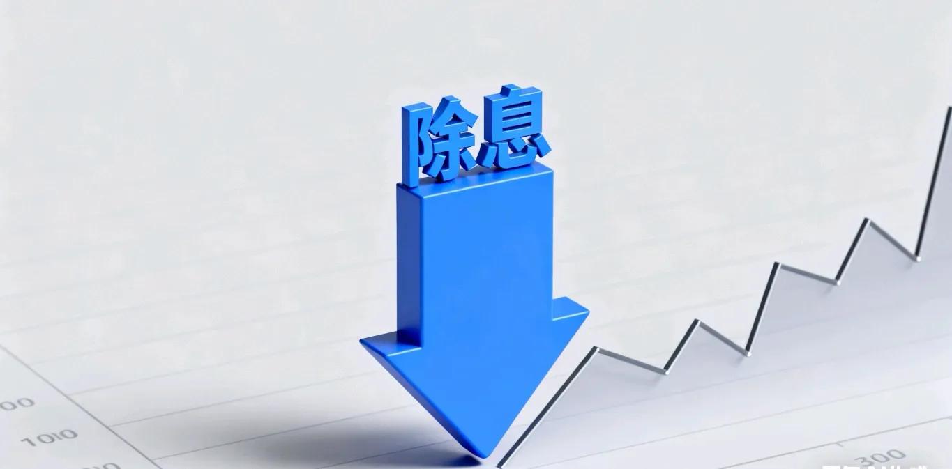 除权除息_股票代码xd是什么意思_股票分红