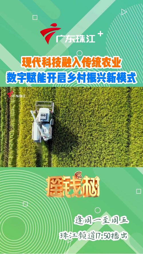 农业贷款风险_中央农村工作会议 农业科技创新 粮食安全韧性