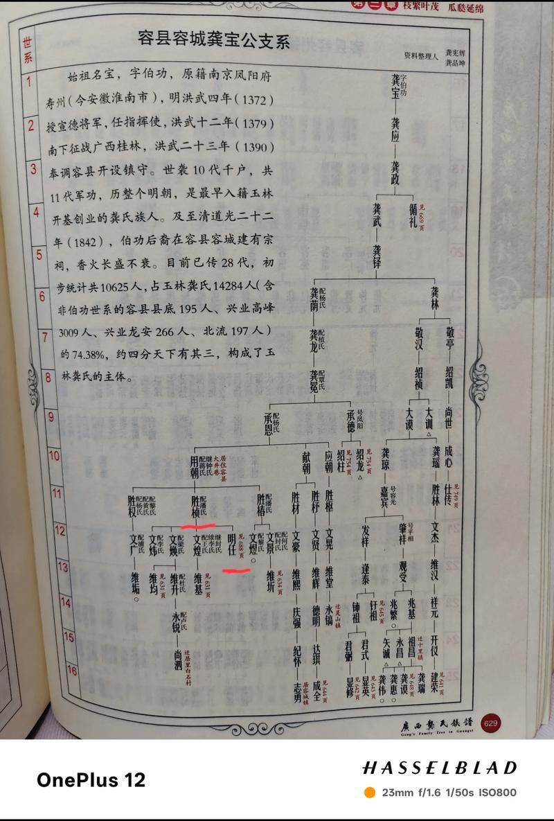 玉林市84部家谱 家族传承研究 广西玉林市家谱资料整理_广西玉林福绵唐氏家族