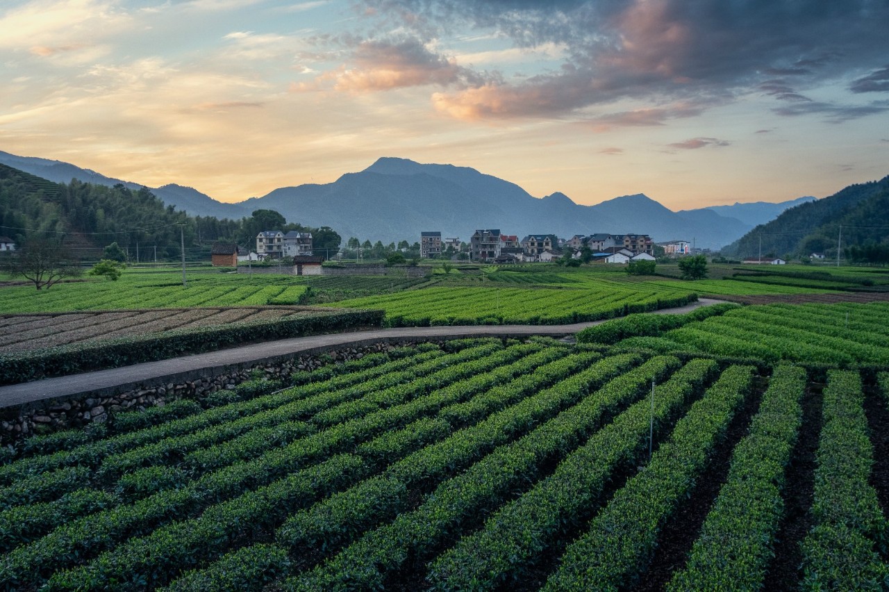 遂昌九龙山_遂昌金矿历史_遂昌旅游攻略