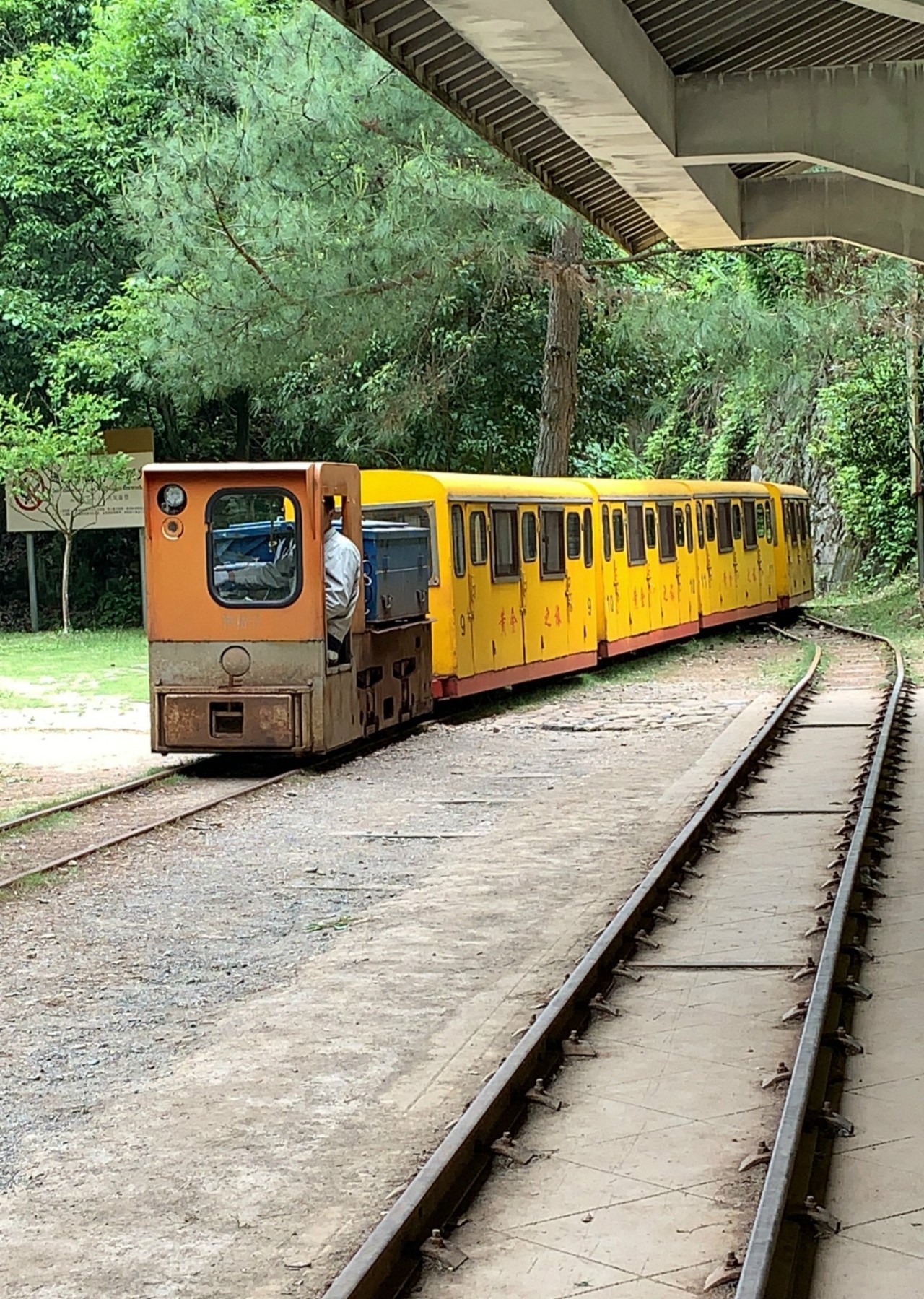 遂昌九龙山_遂昌旅游攻略_遂昌金矿历史