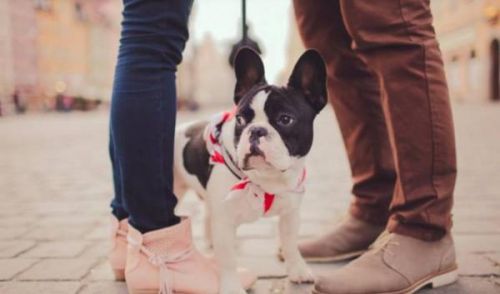 英文情话推荐_情人节用英语怎么说_mr情人节