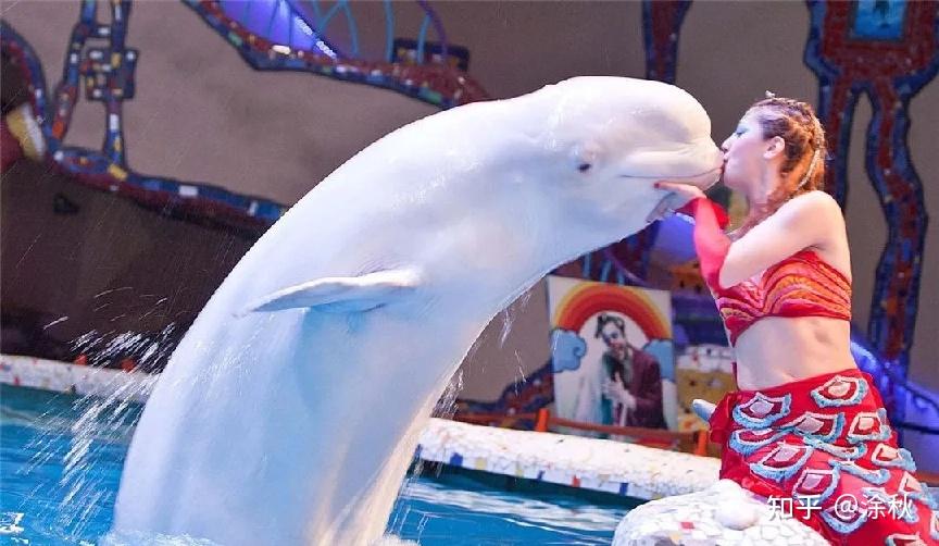 大连国际机场宾馆_大连旅游攻略_大连必去景点