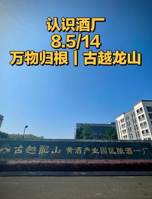 古越龙山黄酒选购指南_古越龙山黄酒怎么样_古越龙山股票怎么样